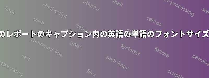 ペルシャ語のレポートのキャプション内の英語の単語のフォントサイズを変更する