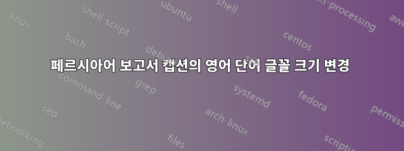 페르시아어 보고서 캡션의 영어 단어 글꼴 크기 변경