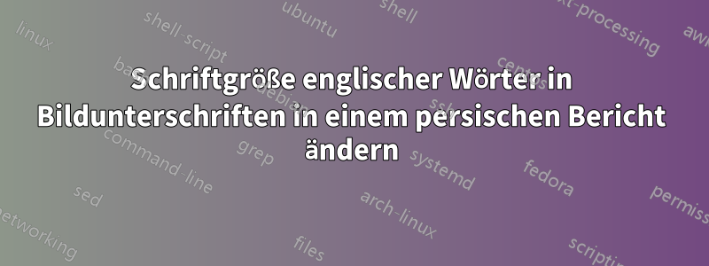 Schriftgröße englischer Wörter in Bildunterschriften in einem persischen Bericht ändern