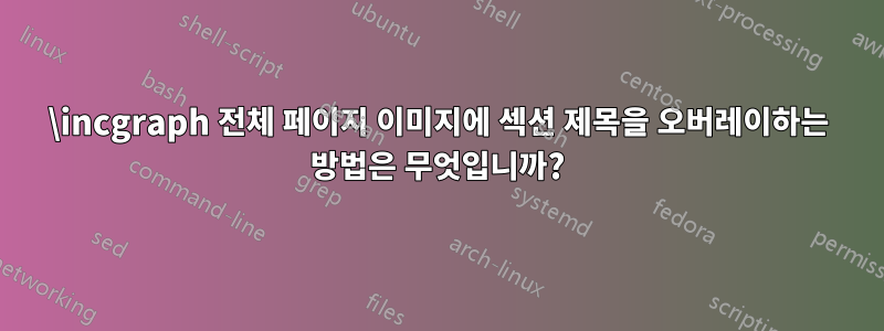 \incgraph 전체 페이지 이미지에 섹션 제목을 오버레이하는 방법은 무엇입니까?