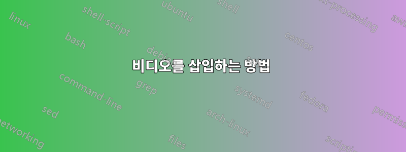 비디오를 삽입하는 방법