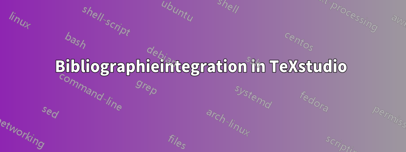 Bibliographieintegration in TeXstudio
