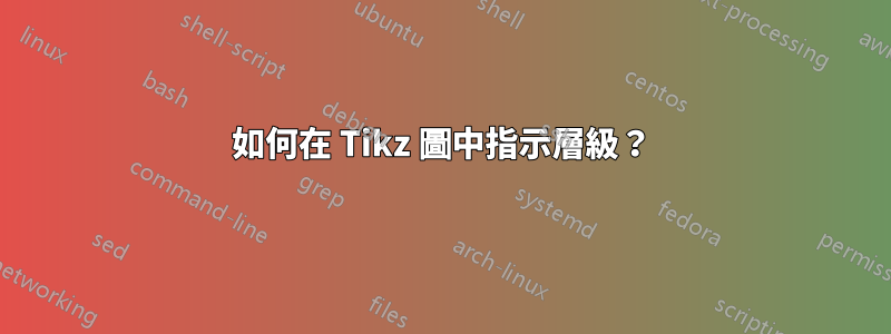 如何在 Tikz 圖中指示層級？