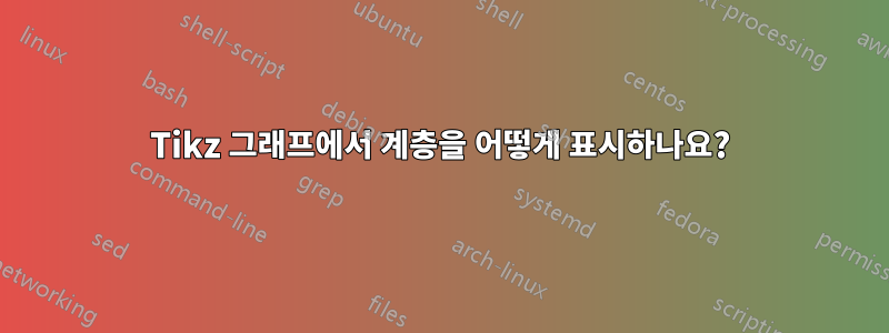 Tikz 그래프에서 계층을 어떻게 표시하나요?