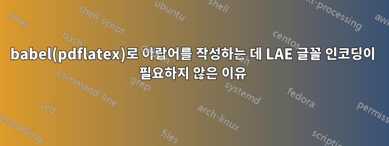 babel(pdflatex)로 아랍어를 작성하는 데 LAE 글꼴 인코딩이 필요하지 않은 이유