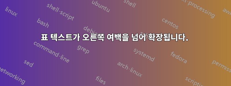 표 텍스트가 오른쪽 여백을 넘어 확장됩니다.