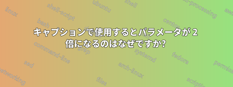 キャプションで使用するとパラメータが 2 倍になるのはなぜですか?