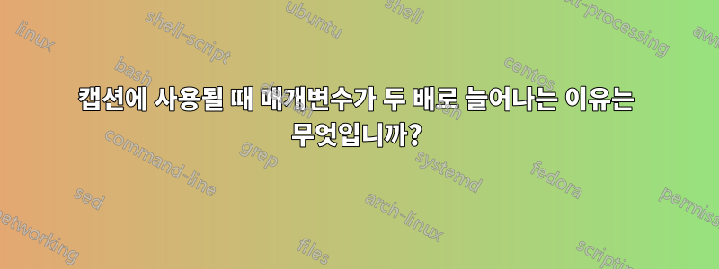 캡션에 사용될 때 매개변수가 두 배로 늘어나는 이유는 무엇입니까?