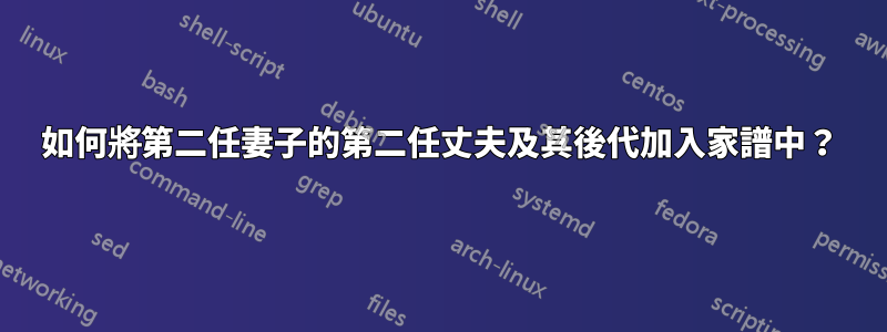 如何將第二任妻子的第二任丈夫及其後代加入家譜中？