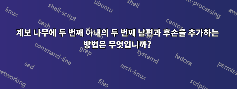 계보 나무에 두 번째 아내의 두 번째 남편과 후손을 추가하는 방법은 무엇입니까?