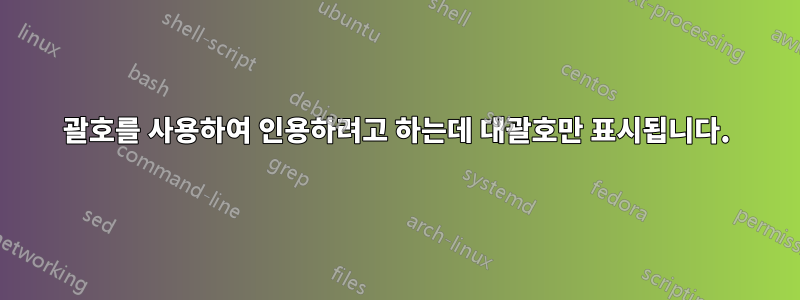 괄호를 사용하여 인용하려고 하는데 대괄호만 표시됩니다.