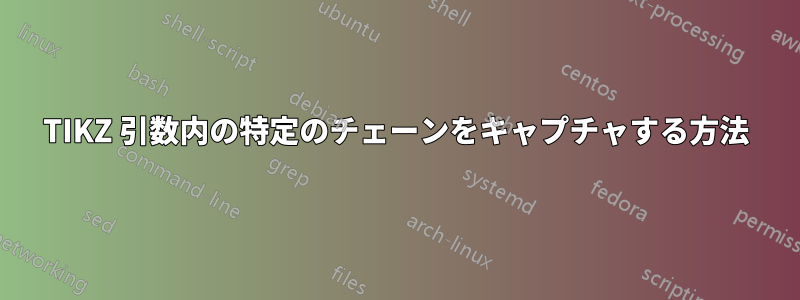 TIKZ 引数内の特定のチェーンをキャプチャする方法