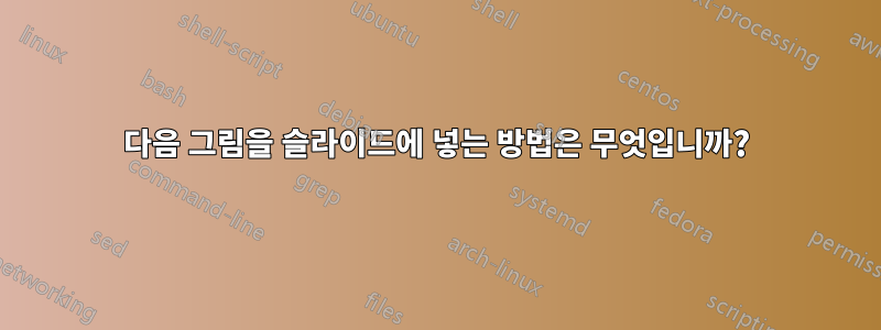 다음 그림을 슬라이드에 넣는 방법은 무엇입니까?