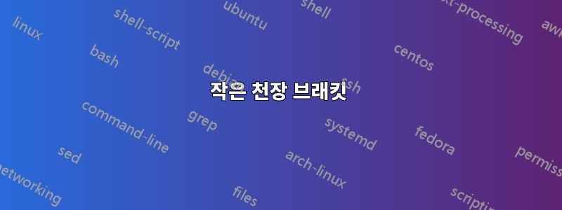 작은 천장 브래킷