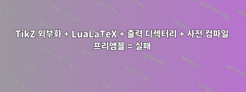 TikZ 외부화 + LuaLaTeX + 출력 디렉터리 + 사전 컴파일 프리앰블 = 실패