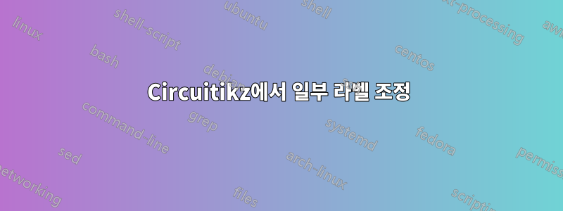 Circuitikz에서 일부 라벨 조정