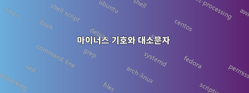 마이너스 기호와 대소문자