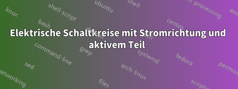 Elektrische Schaltkreise mit Stromrichtung und aktivem Teil 