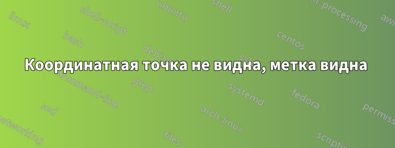 Координатная точка не видна, метка видна