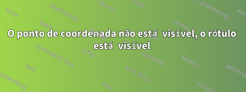 O ponto de coordenada não está visível, o rótulo está visível