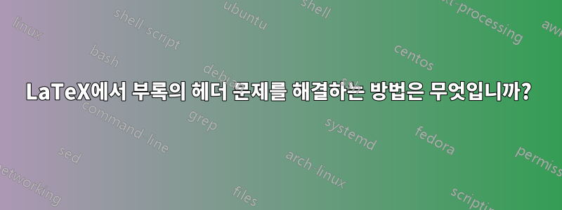 LaTeX에서 부록의 헤더 문제를 해결하는 방법은 무엇입니까?