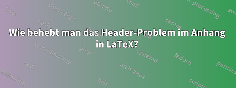 Wie behebt man das Header-Problem im Anhang in LaTeX?