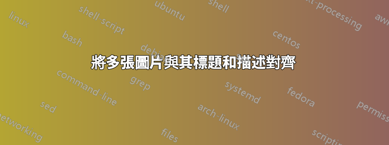 將多張圖片與其標題和描述對齊