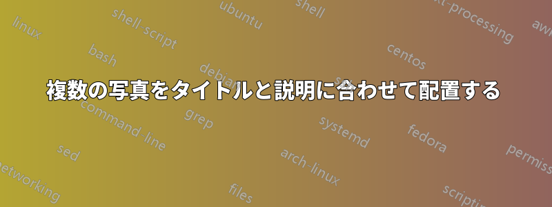複数の写真をタイトルと説明に合わせて配置する