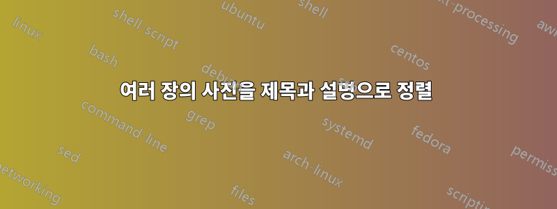 여러 장의 사진을 제목과 설명으로 정렬