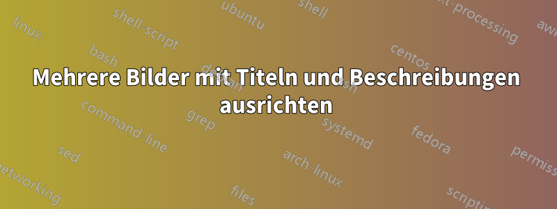 Mehrere Bilder mit Titeln und Beschreibungen ausrichten