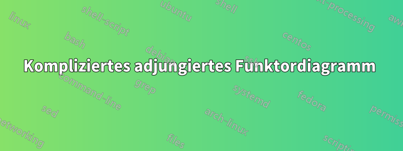 Kompliziertes adjungiertes Funktordiagramm