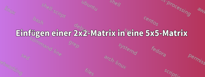 Einfügen einer 2x2-Matrix in eine 5x5-Matrix
