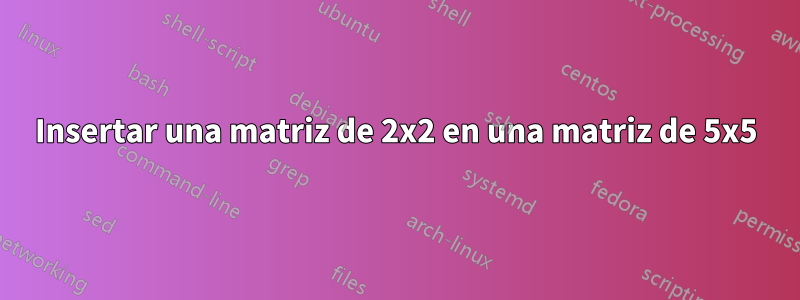 Insertar una matriz de 2x2 en una matriz de 5x5