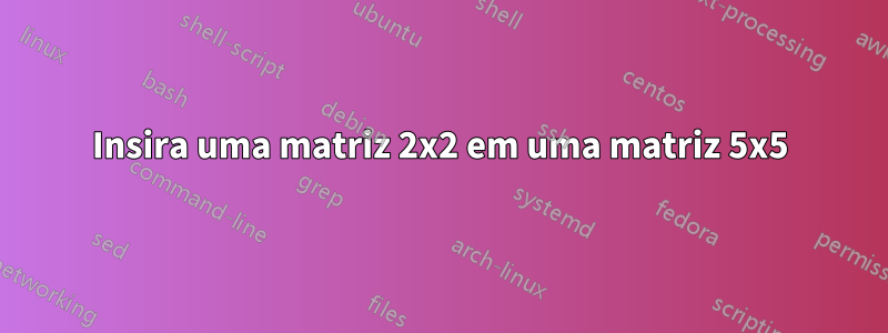 Insira uma matriz 2x2 em uma matriz 5x5