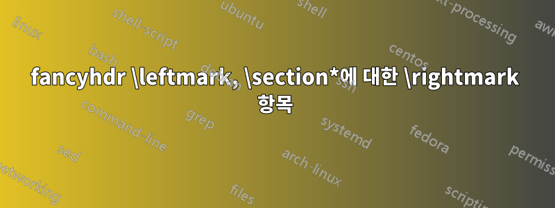 fancyhdr \leftmark, \section*에 대한 \rightmark 항목