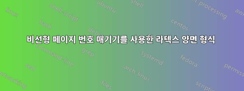 비선형 페이지 번호 매기기를 사용한 라텍스 양면 형식