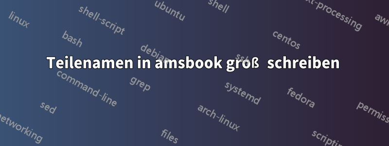 Teilenamen in amsbook groß schreiben