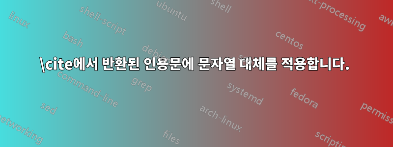 \cite에서 반환된 인용문에 문자열 대체를 적용합니다.