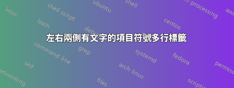 左右兩側有文字的項目符號多行標籤