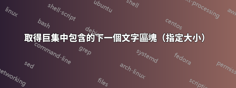 取得巨集中包含的下一個文字區塊（指定大小）
