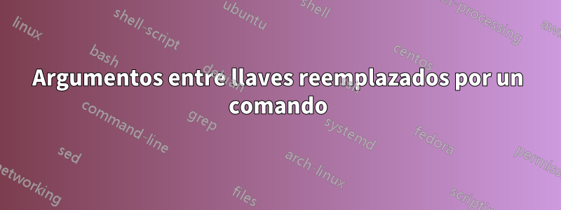Argumentos entre llaves reemplazados por un comando