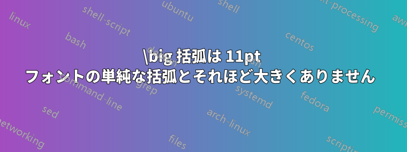 \big 括弧は 11pt フォントの単純な括弧とそれほど大きくありません 