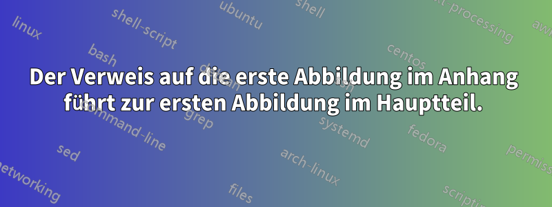 Der Verweis auf die erste Abbildung im Anhang führt zur ersten Abbildung im Hauptteil.