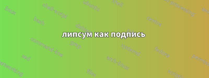 липсум как подпись