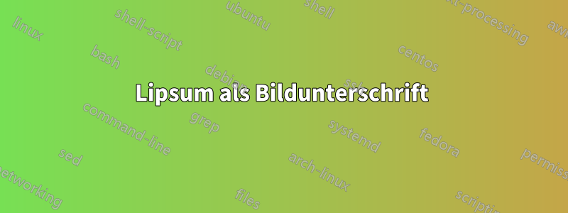 Lipsum als Bildunterschrift