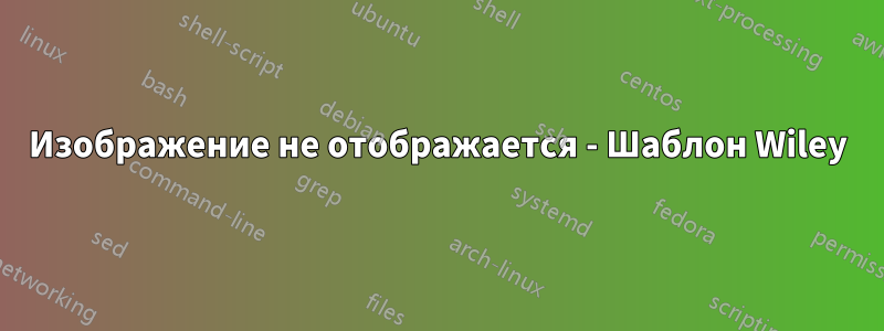 Изображение не отображается - Шаблон Wiley