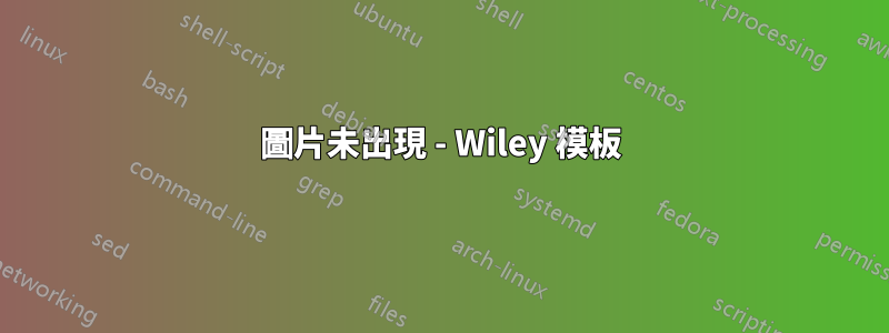 圖片未出現 - Wiley 模板