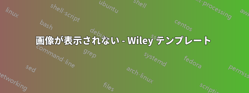 画像が表示されない - Wiley テンプレート