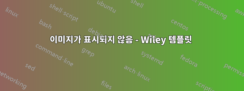 이미지가 표시되지 않음 - Wiley 템플릿