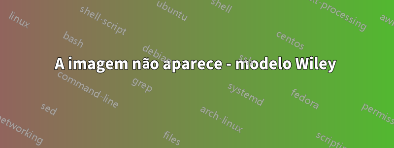 A imagem não aparece - modelo Wiley